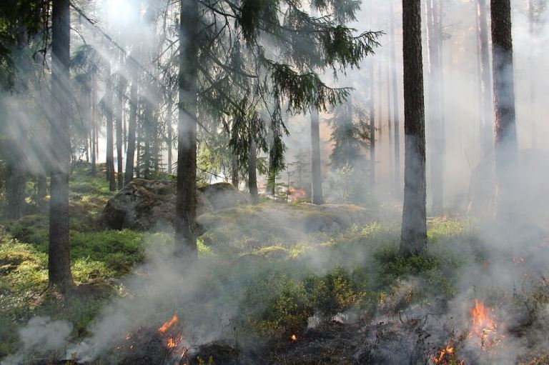 Declaran alerta roja por incendios en 22 municipios de Boyacá