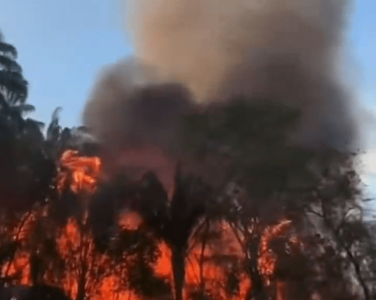 Imagen de video de redes sociales de los incendios forestales en San Luis. Las llamas se concentran en el corregimiento de Payandé y en la vereda Tomogó.