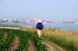 Camino de Santiago: por qué cada vez más colombianos se atreven a caminar durante 15 días