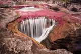 ¿Por qué Caño Cristales es de colores? Esta planta acuática es la responsable
