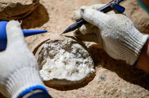 La región de China llena de huevos de dinosaurios que los científicos están estudiando