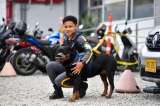 Así es el trabajo y vida de los perros de vigilancia en Bogotá