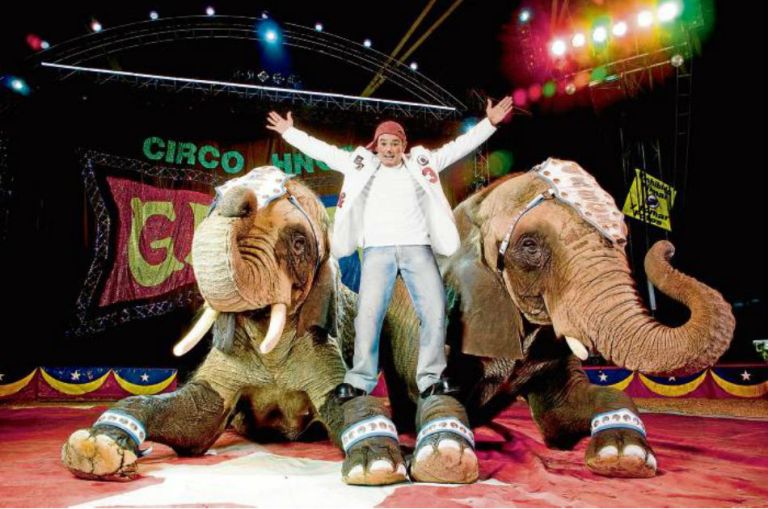 Ley que prohíbe animales en circos es injusta: Raúl Gasca