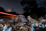 Las imágenes de vida silvestre ganadoras del concurso Nature in Focus 2025