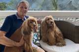 ¡Conmovedor! así reaccionaron los perritos de Dario Gómez al ver su imagen