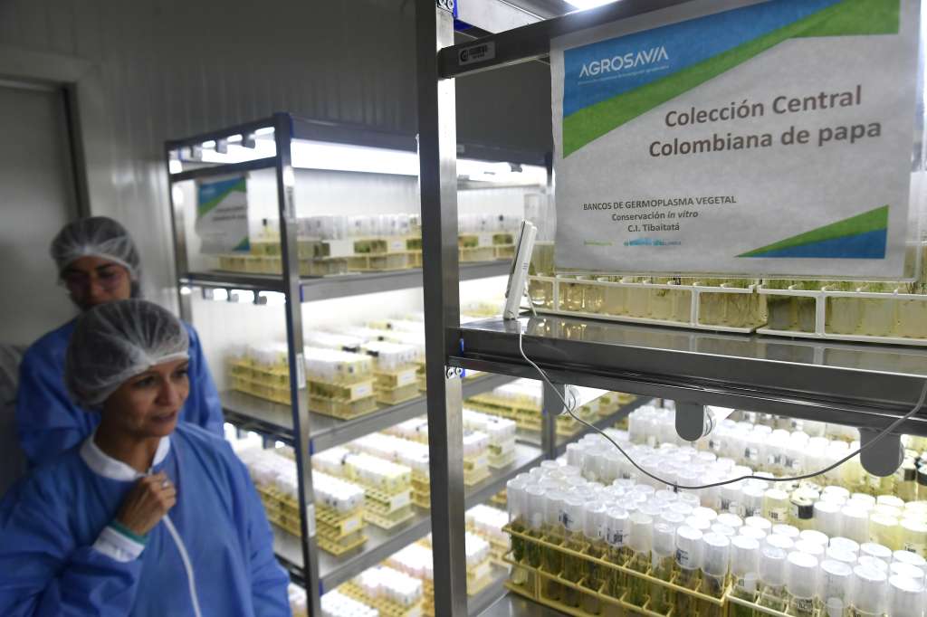 Entidad de ciencia, tecnología e innovación ubicada en el municipio de Mosquera, que contribuye al cambio técnico para mejorar la productividad y competitividad de la agricultura en Colombia.