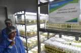 Academia de Ciencias le pide al gobierno reconsiderar el recorte a Agrosavia