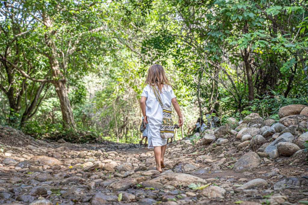 La entrega de tierras beneficia a pueblos indígenas como el Muisca, Nasa, Zenú, Arhuaco y Emberá Chamí, entre otros.
