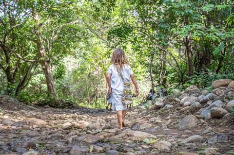 La guerra que les arrebató el territorio a dos comunidades arhuacas del Magdalena
