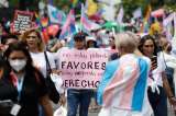 Organizaciones piden archivar proyecto que vulneraría derechos de infancias trans