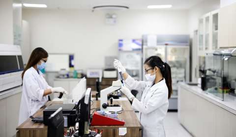 Encuentran pistas sobre mecanismo que usa el cáncer de piel para resistir terapias