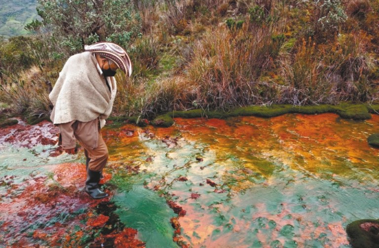Delimitación, minería y política, ¿qué pasa con el páramo de Pisba?