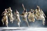 El rescate financiero que buscan para el Festival Iberoamericano de Teatro
