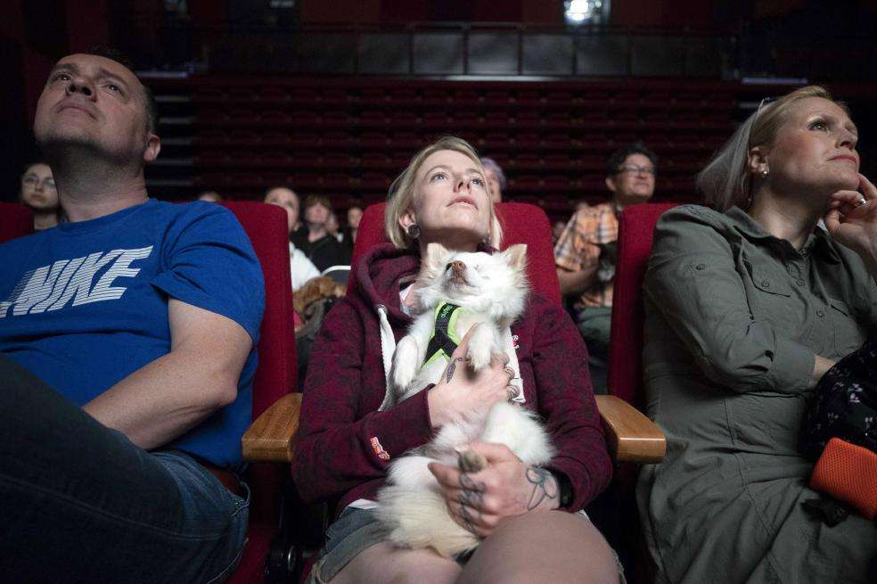 Ir a cine con la mascota es una costumbre en Róterdam. / Efe