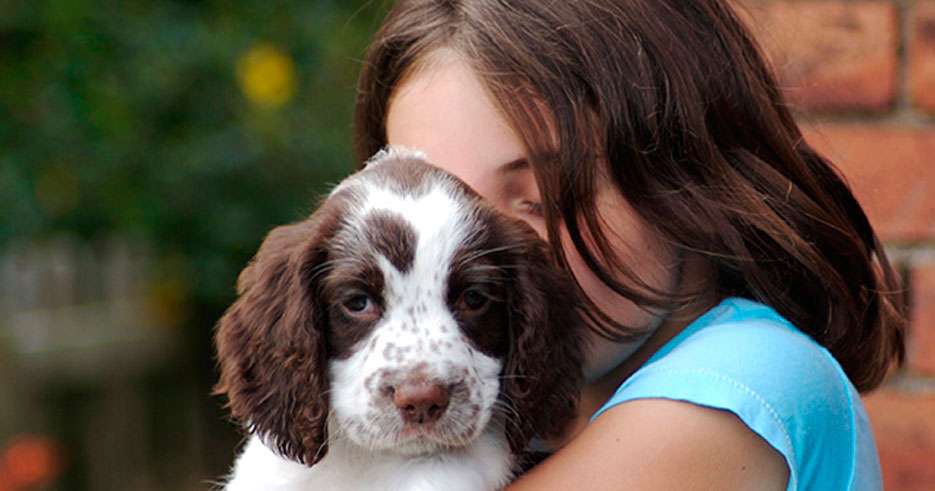 Diez consejos para cuidar a tu nuevo cachorro