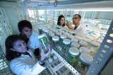 Las mujeres patentan menos inventos y más centrados en la salud femenina