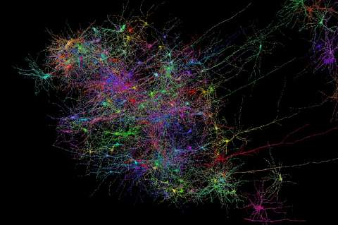 ¿Qué ocurre en el cerebro cuando nos damos cuenta de que hicimos una mala elección?