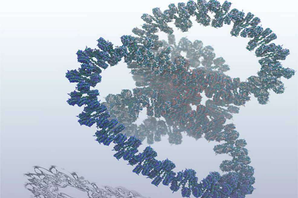 Imagen del modelo creado por los científicos del Laboratorio Nacional de Los Álamos. / Los Alamos National Laboratory