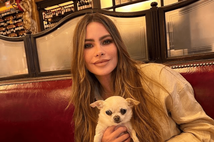 Sofía Vergara