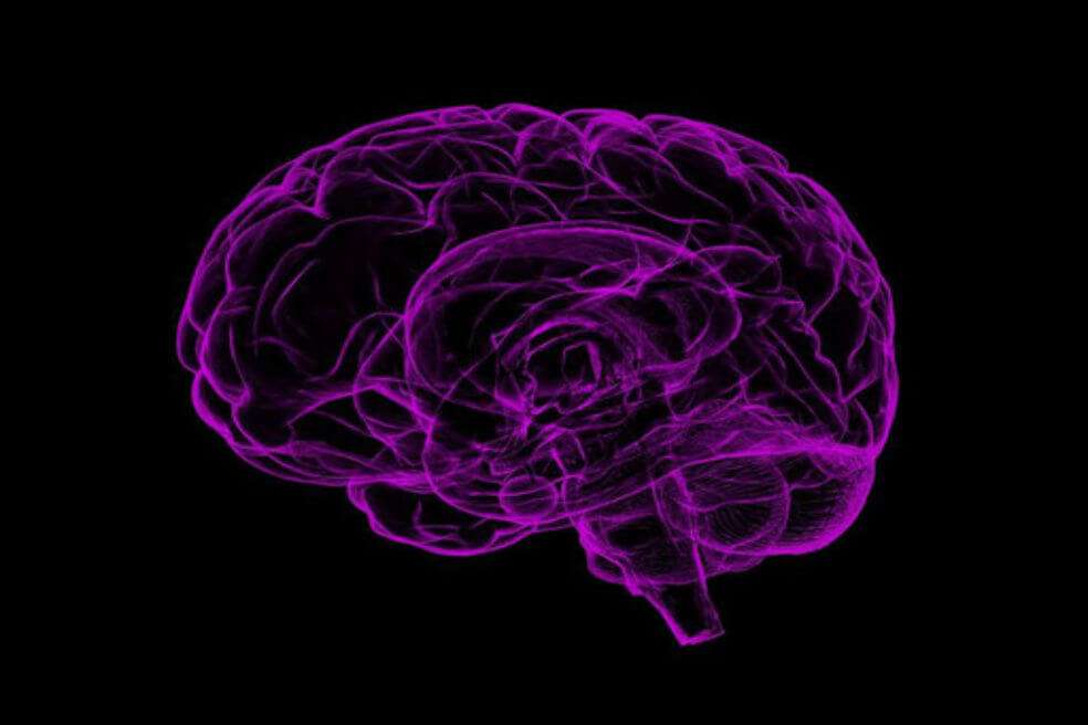 El glioblastoma es el tumor cerebral más frecuente y de peor pronóstico / Pixabay