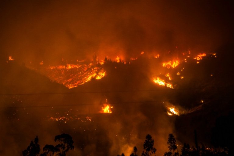 Incendios en Chile: Once muertos, más de 3.000 damnificados y siete regiones afectadas