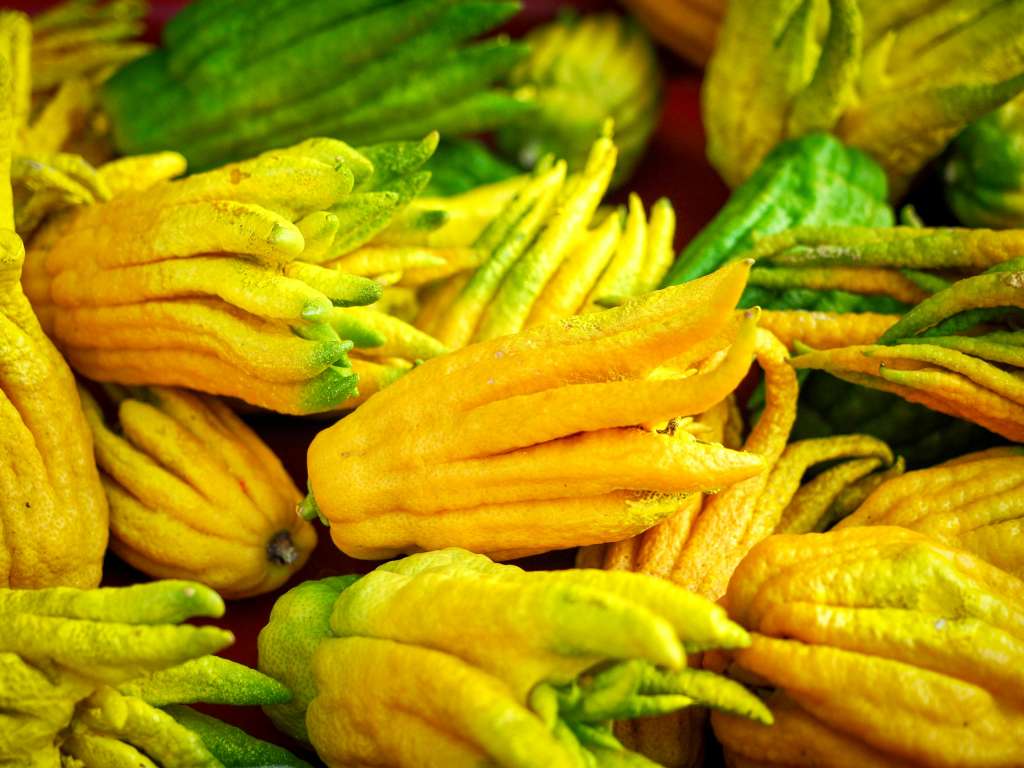 La mano de Buda es un limón originario de Asia