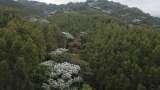 COLOMBIA: UN PAÍS DE VOCACIÓN FORESTAL