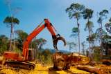 ¿En qué están los compromisos climáticos de Colombia?