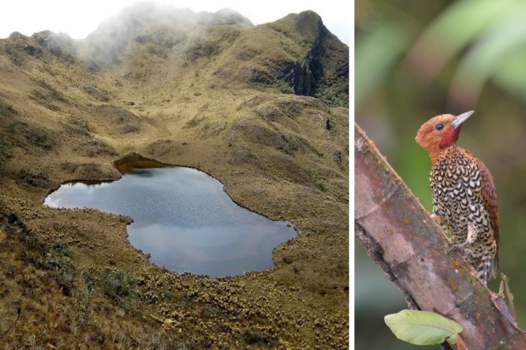 Declaran dos nuevas áreas protegidas en el Valle del Cauca