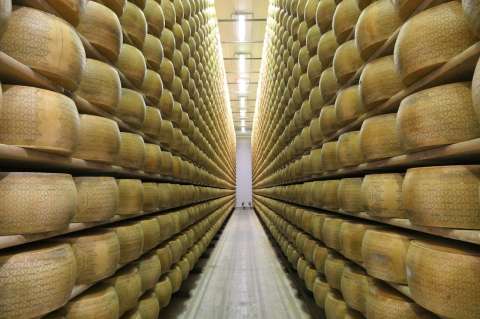 Un italiano murió aplastado por toneladas de ruedas de queso