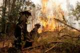 En Tolima piden mano dura contra responsables de incendios forestales