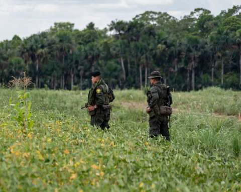 Paz Total: Lo que debe saber sobre las Zonas de Ubicación Temporal para los grupos armados