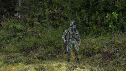 Doce mil integrantes de la fuerza pública custodiarán la localidad Sumapaz