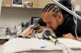 Lewis Hamilton, con lágrimas, pide por Roscoe su perro: “No sabemos si despertará”