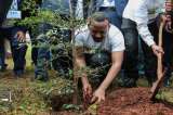 Etiopía rompe récord al plantar 350 millones de árboles en un día