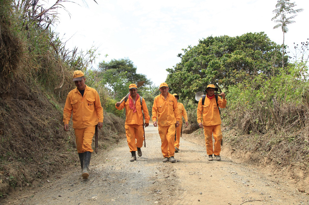 Según el DNP, “el campo colombiano hoy tiene 664 frentes de obra en todos los sectores, gracias a una inversión que supera los $5.5 billones de regalías que son aprobados por el OCAD PAZ”. / Cortesía