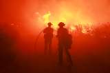 Reportan el mayor incendio en California, Estados Unidos, en lo que va de 2024