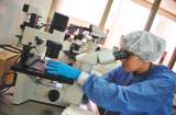 (Análisis) Ciencia y conocimientos en plural: entre el activismo y la academia