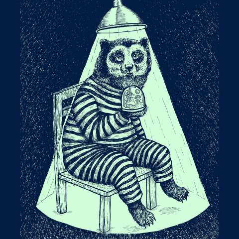 Habeas corpus al oso Chucho: ¿progresismo o laberinto jurídico?