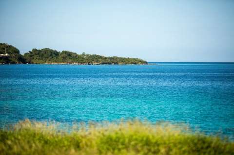 Así es como Jamaica quiere ser un líder de la lucha contra el cambio climático