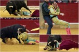 Torero tuerto por cornada de un toro volvió a ser embestido en una corrida en Zaragoza