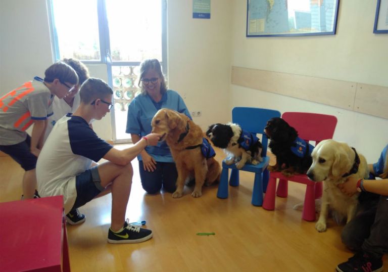 La terapia con perros para niños con dificultades del habla muestra resultados prometedores