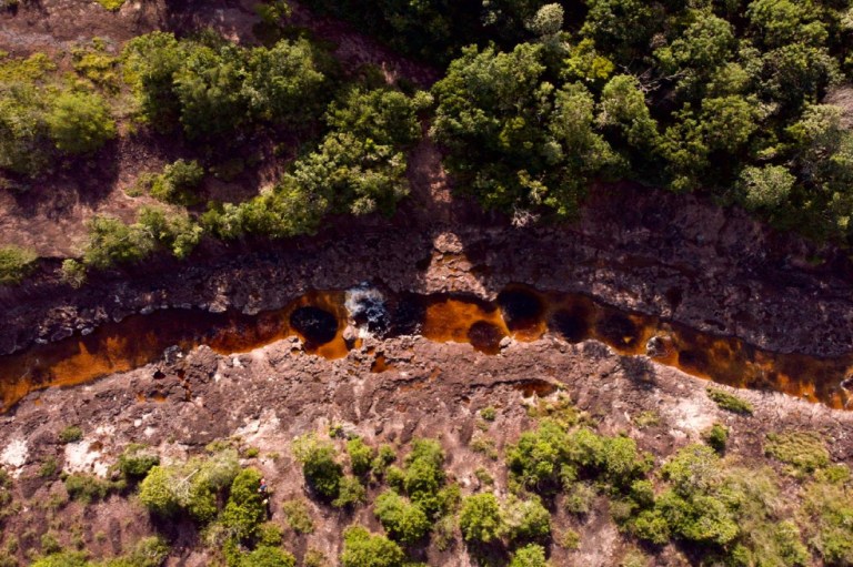 Negocios verdes: turismo de naturaleza en Guainía, Guaviare y Vaupés