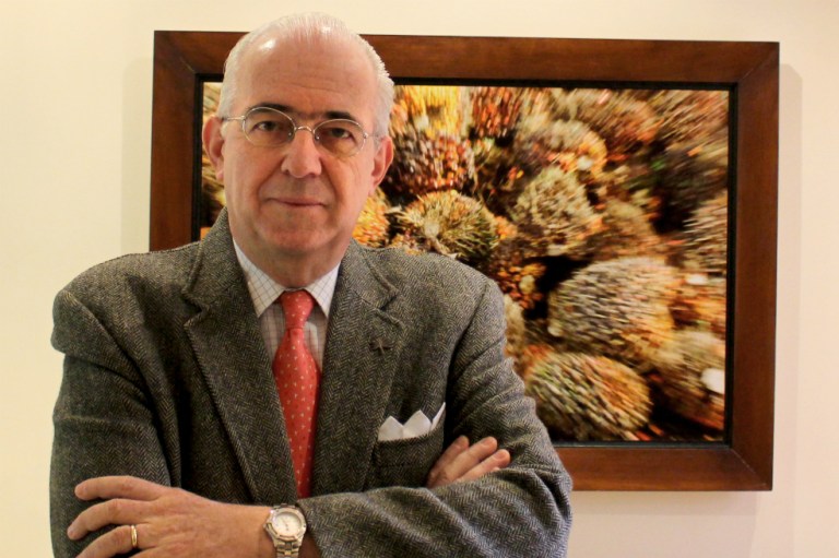 ‘En el discurso sobre energías renovables hay brechas muy amplias’: Presidente de Fedepalma