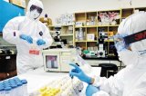 Panamá declara alerta preventiva por virus chikungunya