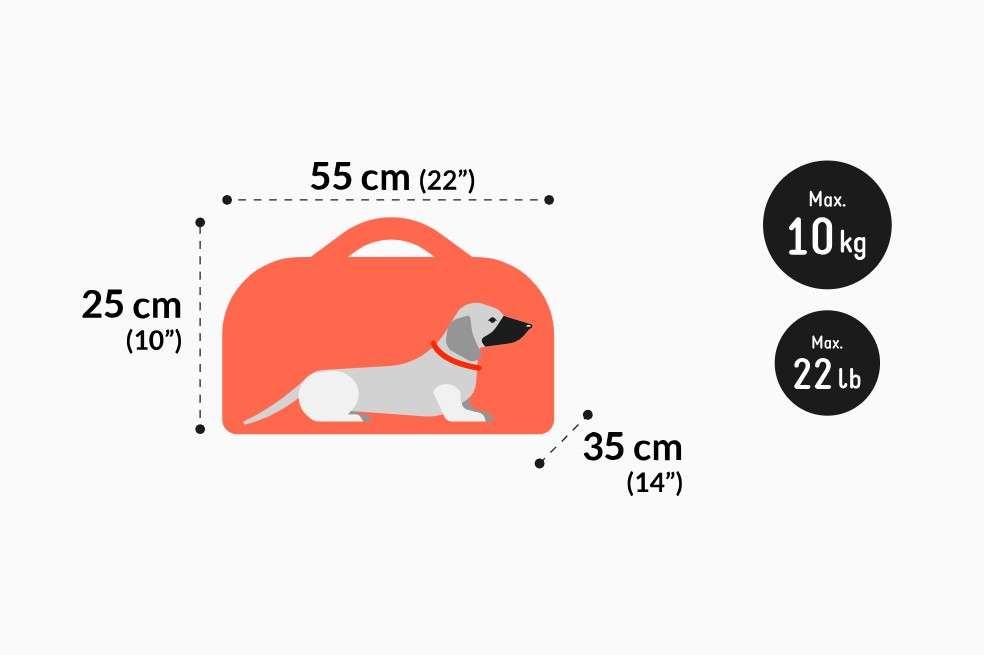 Mascotas de hasta 10 kg (en cabina). Son perros o gatos que tienen un cargo adicional para ser transportados en cabina.