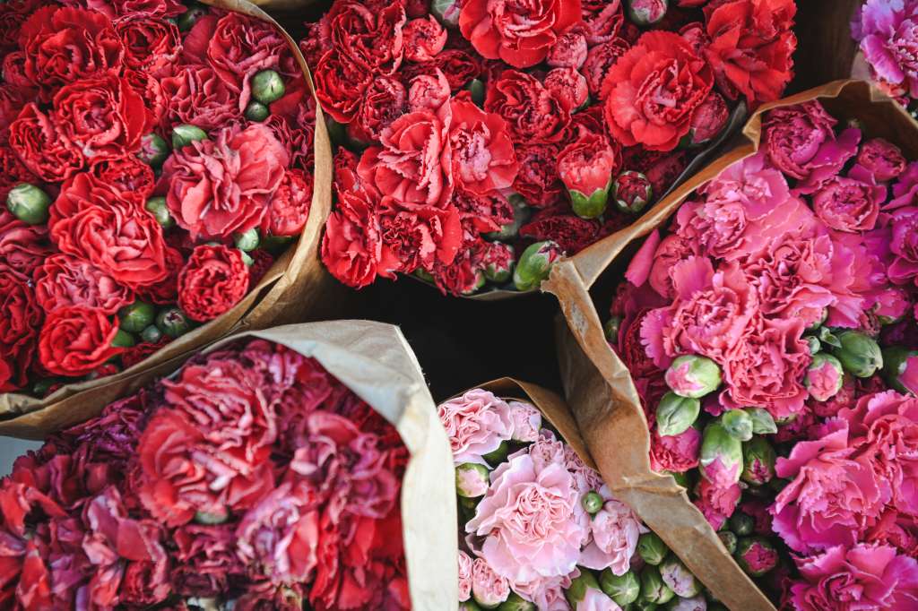 Foto que muestra, desde un plano cenital, varios ramos de flores de claveles.