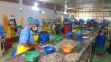 En Tumaco se impulsa el desarrollo local y la paz a través de un producto emblemático: el camarón