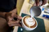 Prepara un delicioso latte de vainilla para tu desayuno
