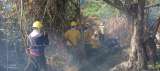 Incendio en la Vía Parque Isla de Salamanca ya afecta cerca de 30 hectáreas, alerta Parques